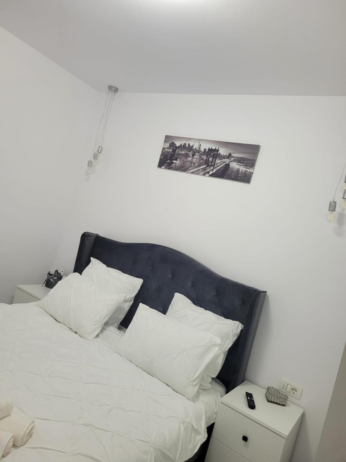 Tag Apartament ทิมิชัวรา ภายนอก รูปภาพ